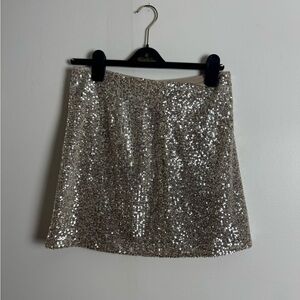 Banana Republic Champagne Sequin Skirt